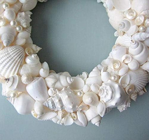 Tumbler Home Mix of White Seashells - Set Includes 1 Pound White Shells up to 3 inches - Home Decor, Vase Filler, Wedding Centerpiece, Christmas, ...