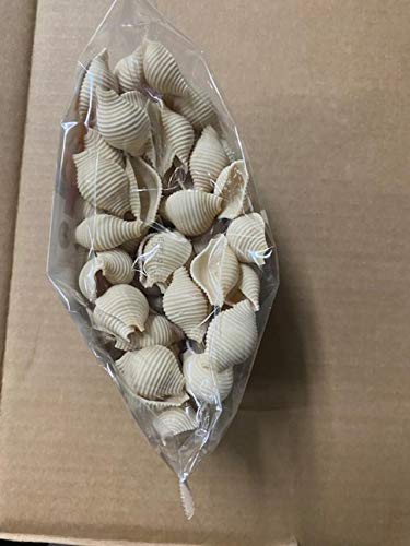 Great Low Carb Bread Company Pasta Shells...