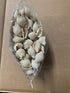 Great Low Carb Bread Company Pasta Shells...