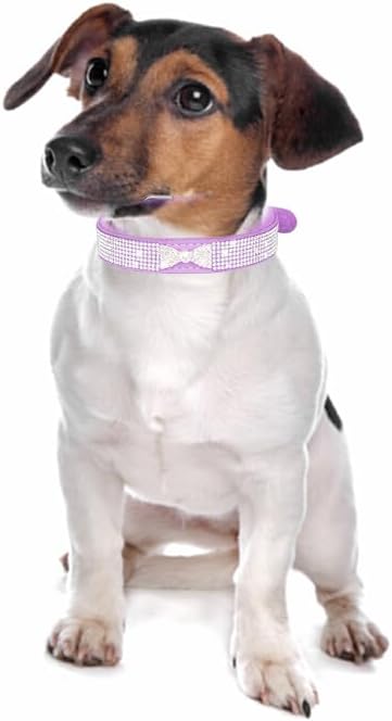 Bling Dog Collars for Small Dogs, Rhinestone Pet Collars, Pink Diamond Puppy Collar for XXS XS Small Medium Large Female Dogs Girl Cats,Purple L...