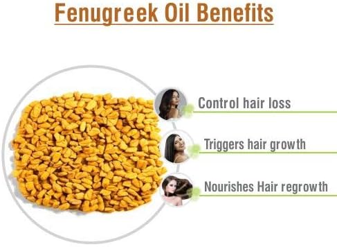 Fenugreek (Trigonella foenum) Essential Oil 100% Pure & Natural Undiluted Uncut Therapeutic Oil - Use for Aromatherapy (30ml with Dropper)...