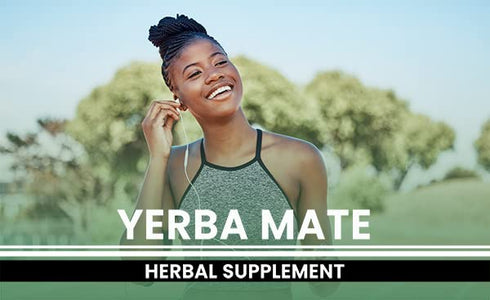 PURE ORIGINAL INGREDIENTS Yerba Mate (365 Capsules), No Magnesium Or Rice Fillers, Always Pure, Lab Verified...