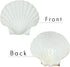 6PCS Scallop Shells for Serving Food,Baking Shells Large Natural White Scallops from Sea Beach for DIY Craft Decor 4-5 Inches...