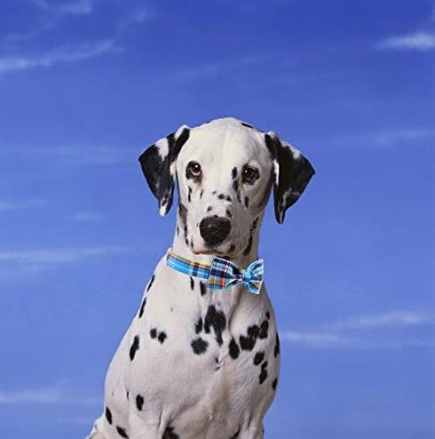 Unique style paws Plaid Dog Collar with Bow Pet Gift Adjustable Soft and Comfy Bowtie Collars for Small Medium Large Dogs...