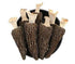 Dried Morel Mushrooms (Morchella Conica) (2oz)...