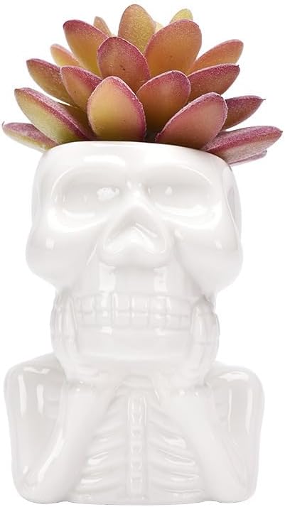 2Packs Humanoid Skull Skeleton Man Ceramic Plant Flower Pot, Creative Decorative White Mini Succulent Planter Ceramic Pot/Saucer Have Drainage Hol...