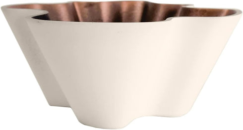 The HC Companies 8 Inch Venus Succulent Planter - Unique Decorative Shallow Plastic Plant Pot with Drainage, Vanilla Bisque...