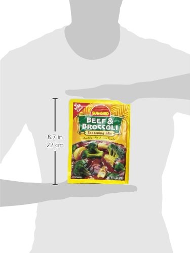 Sun-Bird BEEF & BROCCOLI Asian Seasoning Mix 1oz (10-pack)...