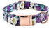 Metal Buckle Dog Collar, Durable Adjustable Dog Collar Soft for Small Medium Large Dogs...