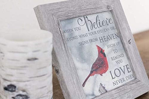 Summer Snow Cardinal Sympathy When You Believe Beyond What Your Eyes Can See | SS6848 - Framed Glittered Glassless Acrylic Sealed Picture...