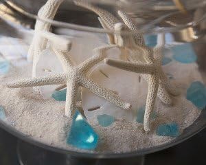 Tumbler Home Sand Dollars and Starfish for Crafts, 3 Real Starfish (4"-6") and 3 Sand Dollars (3"-3.5") in Bulk...