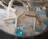 Tumbler Home Sand Dollars and Starfish for Crafts, 3 Real Starfish (4"-6") and 3 Sand Dollars (3"-3.5") in Bulk...