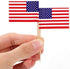 CYPS 100 Pcs USA American Flag US Toothpick Flags, Small Mini Stick Cupcake Toppers US Flags,4th of July,Veterans Day,Country Picks Party Decorati...