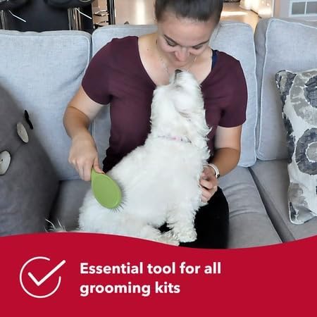 Coastal Pet Safari Wire Pin Brush with Plastic Handle - General Dog Grooming Brush for Dogs with Short and Long Hair - No-Slip Handle - Compatible...