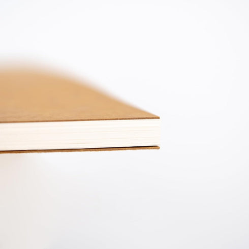 DSTELIN 10 inch x 7.5 inch, 100GSM, Blank Spiral Notebook, 1-Pack, Soft Cover, Sketch book, 120 Pages / 60 Sheets, (Brown)...
