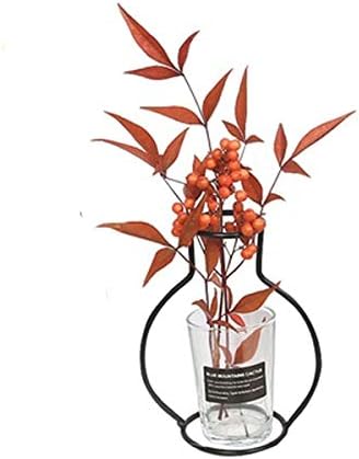 Nuptio Set of 3 Creative Desktop Planter Set with Glass Cup Vases Iron Metal Stand for Water Planting Flower Arrangement Decoration Gift for Home ...