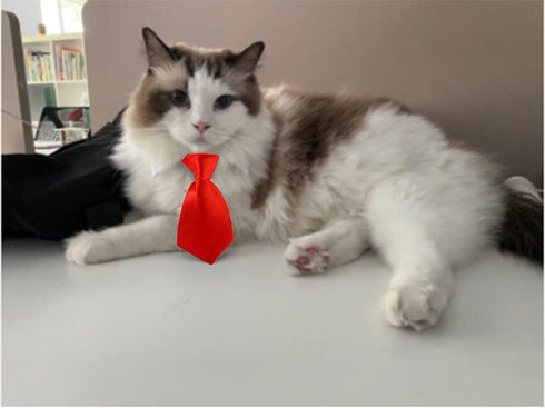 8 Pieces Pets Dog Cat Bowtie Pet Sunglasses Pet Costume Adjustable Formal Necktie Collar for Cats Small Dogs Puppy Grooming Accessories (Black/red...