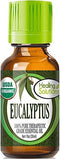 Healing Solutions Eucalyptus Essential Oil 1 oz (30ml), Pure & Organic, Undiluted Eucalyptus Essential Oil for Hair, Diffuser, Skin, & Aromatherap...