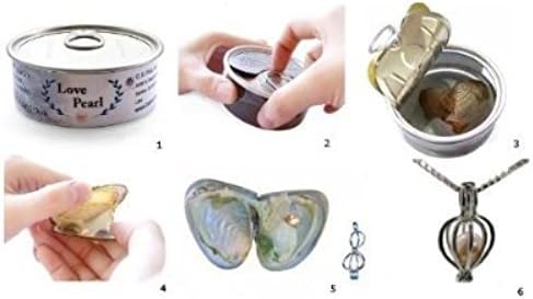 Pearlina Cultured Pearl in Oyster Necklace Set Silver-tone Heart Cage Locket w/Stainless Steel Chain,18"...