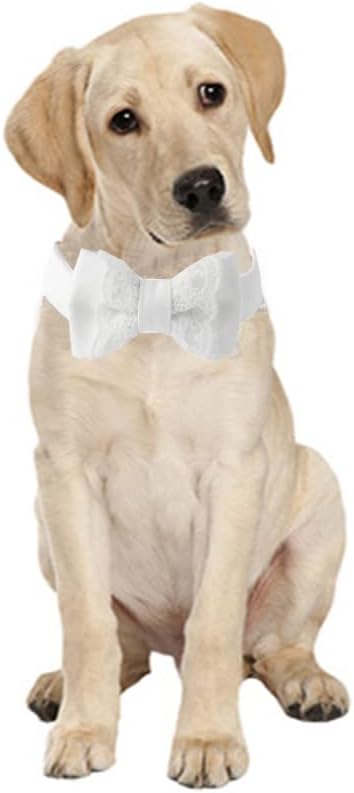 Unique Wedding Dog Collar Bow Tie, White Cotton Dog Collar with Adjustable Metal Buckle,Suitable for Small Dogs. (Wedding S)...