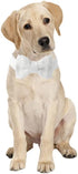 Unique Wedding Dog Collar Bow Tie, White Cotton Dog Collar with Adjustable Metal Buckle,Suitable for Small Dogs. (Wedding S)...