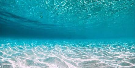 30X18IN Natural Undersea Aquarium Background, Undersea Beach Fish Tank Background, with 8 EVA Double-Sided Tape...