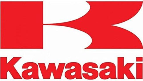 Kawasaki 49065-7010 PK2 Oil Filters...
