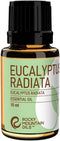 Rocky Mountain Oils Eucalyptus Radiata Essential Oil - Aromatherapy Essential Oils for Diffuser, Topical, and Home - 15ml...
