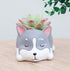 Husky Dog Succulent Planter Pot,use for Office House Balcony Landscape Creative Decorative Flower Pots (Husky)...