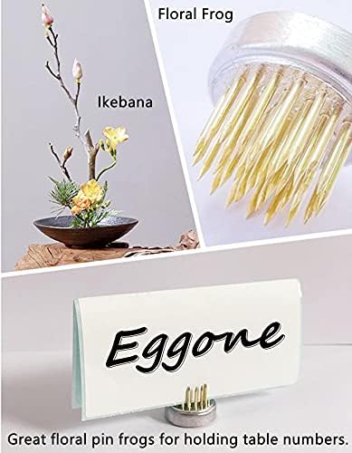 Mini Kenzan Pin Frog 23mm/0.9inch Diameter Floral Ikebana Flower Arranger Holder for Small Vase (5Pcs)...