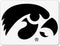 IOWA Hawkeye Mini Stencil - IOWOOS-201...