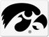 IOWA Hawkeye Mini Stencil - IOWOOS-201...