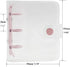 Super Mini Clear 3 Ring Binder Cover Pink Round Ring PVC Binders Snap Closure Loose Leaf Folders Sealing Edge Notebook Shell File Folders Album Bi...
