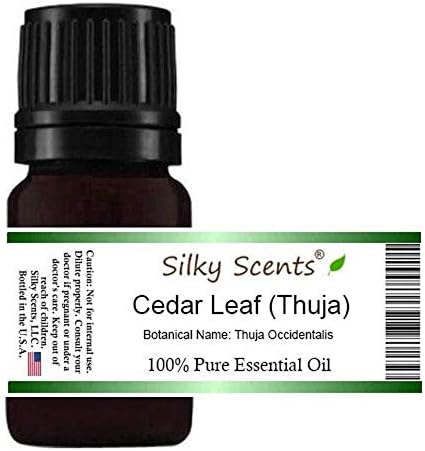 Cedar Leaf or White Cedar Essential Oil (Thuja Occidentalis) 100% Pure and Natural 1OZ30ML...