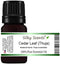 Cedar Leaf or White Cedar Essential Oil (Thuja Occidentalis) 100% Pure and Natural 1OZ30ML...