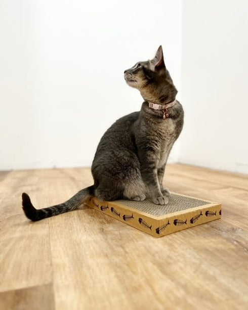 2 Double-Sided Cardboard Cat Scratcher-Cat Pad Scratchers (15x10) Large Scratcher, Brown...