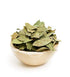 4oz Bay Leaves Semi Selected (whole and broken leaves), Hojas de Laurel, Dried Bay Leaf by 1400s Spices...