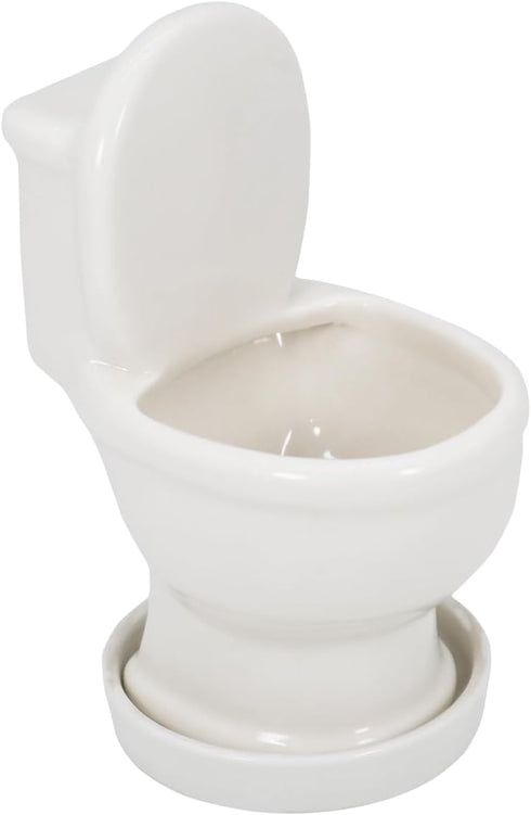 Cute Toilet Bowl Succulent Planter Pot with Drainage Tray, White Ceramic Cactus/Flower Container, Bonsai Holder for Air Plants...