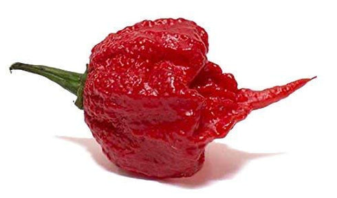 Elijah's Xtreme Hot Sauce (Elijah’s Xtreme Reaper Hot Sauce)...