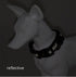 Airtag Dog Collars | Adjustable Nylon Reflective Dog Collar | Pet Collars with Apple Airtag Dog Collar Holder and Soft Breathable Neoprene Padding...