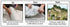 Woodland Scenics Shaper Sheet 9"X72"...