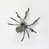 Gothic Halloween Spider Brooch Pins Set Micro Pave Polished Mother of Pearl Body Head Crystal for Women Mother Halloween Costume Party Decoration ...