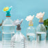 3Pcs Bottle Cap Sprinkler, Plastic Dual Head Bottle Watering Spout, Bottle Watering Spout Bonsai Watering Can for Indoor Seedlings Plant, Garden T...