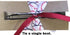 Paw Prints Ribbon for Crafts Grosgrain Ribbon for Gift Wrapping, Cheer Bows (10yd-(2x5yd) 7/8" White Paw, Navy)...