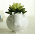 Cute Succulent Planter Animal Shaped Flower Pot Decor for Home Office Desk (Cow)...