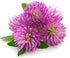Red Clover Leaf & Flowers - Dried Trifolium pratense Leaf & Flowers C/S by Nature Tea (4 oz)...
