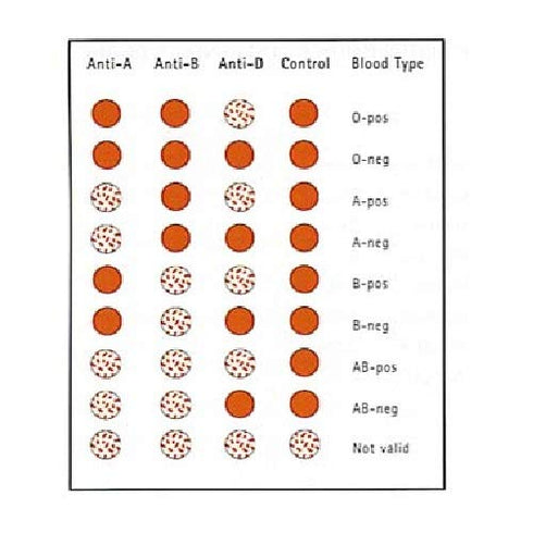 Eldoncard INC Rapid Blood Type Test (2 COMPLETE KITS) - Air Sealed Envelope, Safety Lancet, Micropipette, Cleansing Swab...