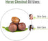 Salvia Horse Chestnut Oil |Pure and Natural Horse Chestnut Oil | Firm Skin, Skin Hydration, Skin Toning, Cosmetic Grade| Skincare, Hair Care, and ...