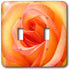 3dRose lsp_1225_2 Peach Rose Double Toggle Switch...