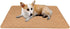 Ovale Waterproof Dog Cover, Dog Mat, Fast Absorption, Reusable, Non-Slip, for Small Puppy Dogs( 20” x 14”, Beige)...